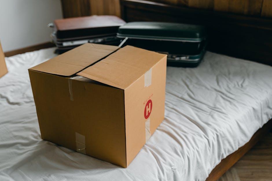 A young woman with dark hair and wearing a light green shirt is sitting inside a large, open cardboard moving box placed on a light-colored floor next to a wall. The box appears to be part of a home r