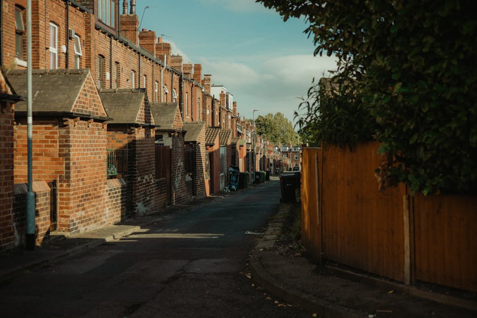 Inside a property during a home relocation, a worker's hands are visible loading a large cardboard box onto the back of a white van parked just outside a doorway. The scene shows various packed items